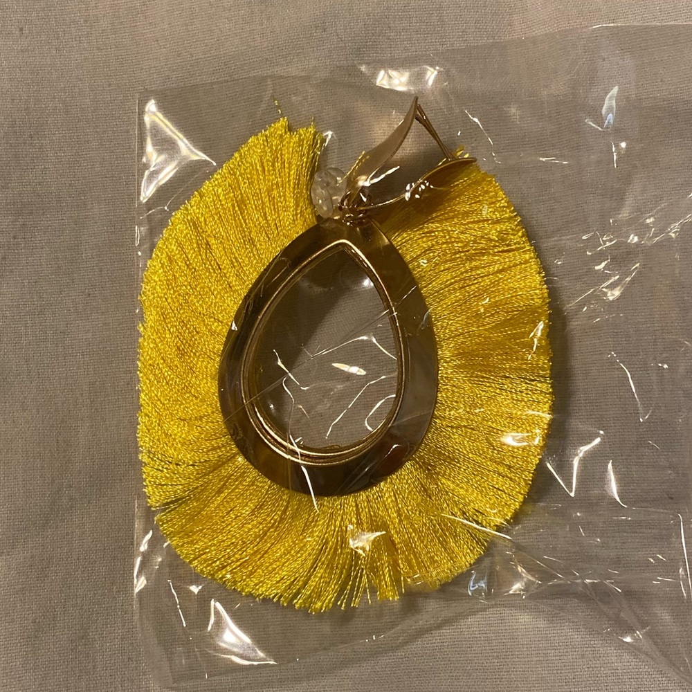 Fashion earrings